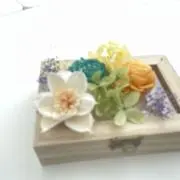 まえーるの画像