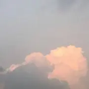 あんず