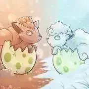 曜虎の画像