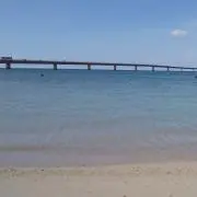 うくれれの画像