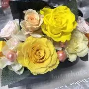 黄薔薇