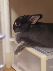 yuuの画像