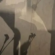 ぶっちの画像