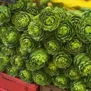 やさいの画像