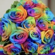Beyou585の画像