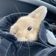 ひかっちあおっち