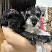 ぶんちゃんの画像