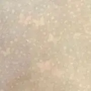 バナーヌ