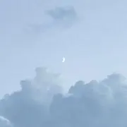 じゅねの画像