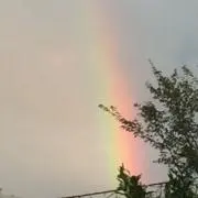 りいねの画像
