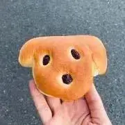 ぱんこの画像