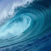 なつめやし