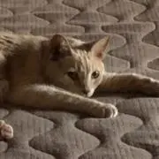 Hiroの画像