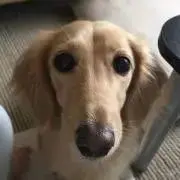 ☆クリーム☆ ★即日発送します★の画像