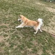 えいとの画像