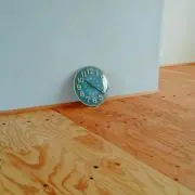 りーの画像