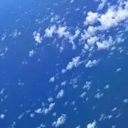 のの
