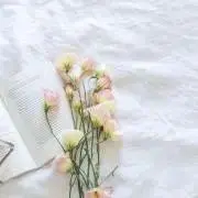 団子の画像