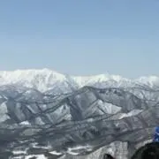 ぽんず