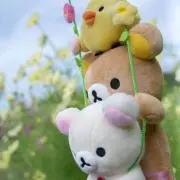 Seiの画像
