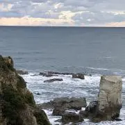 No1008の画像