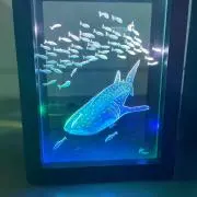ゆいの画像