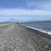 ころんの画像