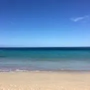 そうにゃん☀️の画像