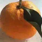 みかん⭐の画像