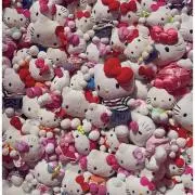 きてぃの画像