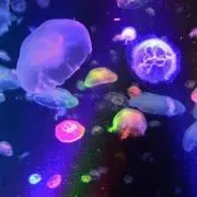 ひさ♡即購入OK‼＆送料無料♡の画像