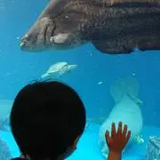 みよこ　※単品でのお値下げ交渉不可ですの画像