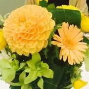 めいめいひつじ☆プロフ読んでね
