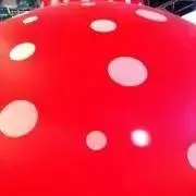 dillの画像