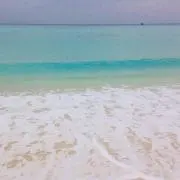 MAYの画像