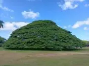 アクラ【プロフ必読】の画像