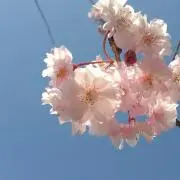 ユミヒロの画像