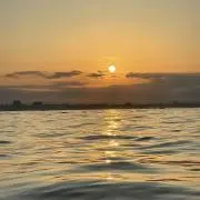 あおちゃん