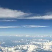 モスの画像