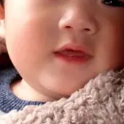 どぼんの画像