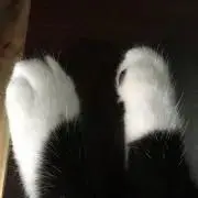 にいやん