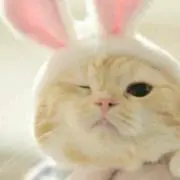 うさまる [参考書類は必ずコメント]