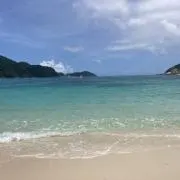 うさこの画像