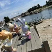 かさこの画像