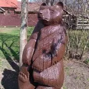 hiの画像