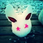 NORA★プロフ必読★