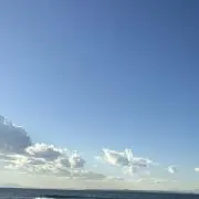 なおの画像