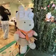 きゃぬ