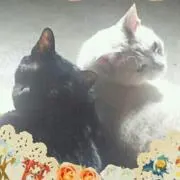 超パオパオ