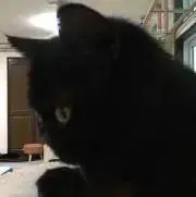 saku☆の画像